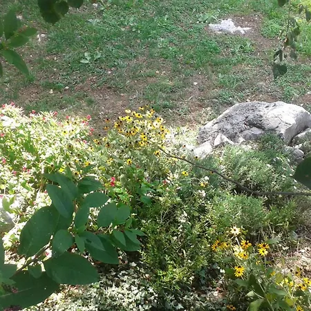 Holiday home Rabenseifner - Opatija *