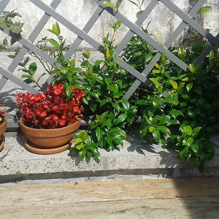 Holiday home Rabenseifner - Opatija *