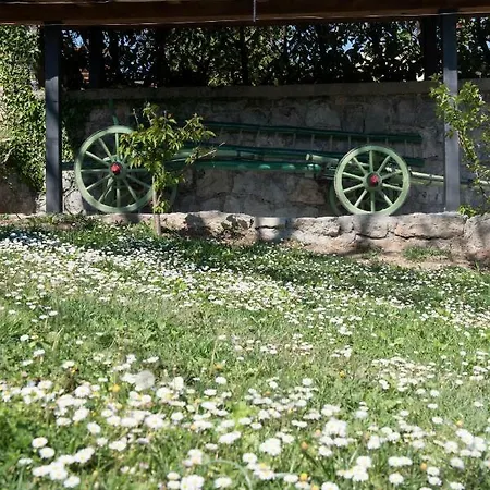 Rabenseifner - Opatija Holiday home *